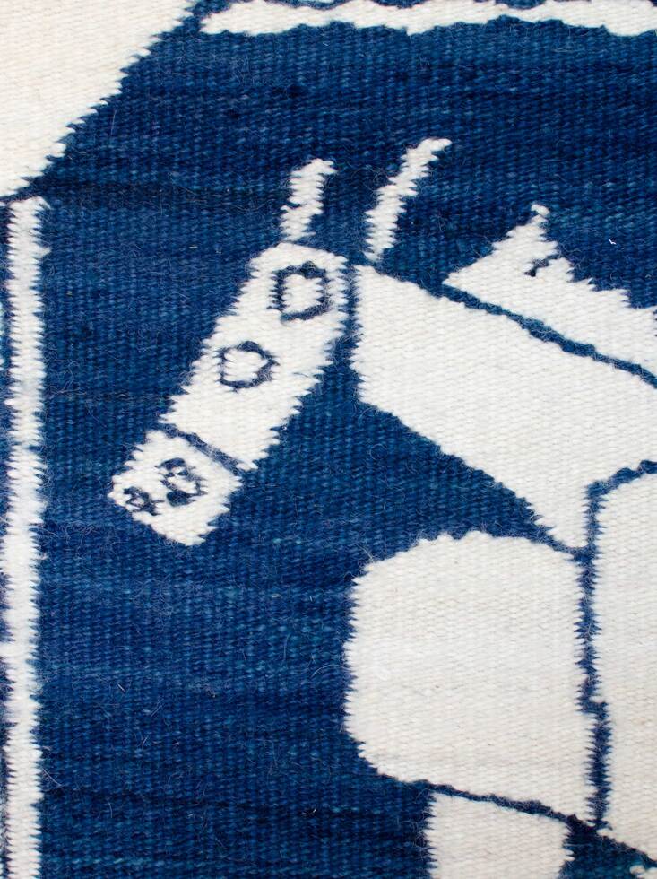 Benedit Luis Fernando, Stage Horse